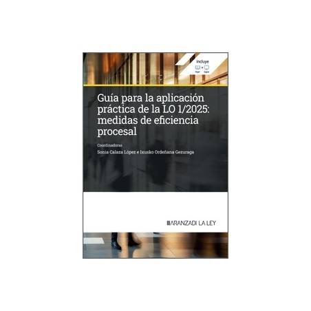 Guía para la aplicación práctica de la LO 1/2025: Medidas de eficiencia procesal