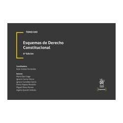 Esquemas de Derecho Constitucional 6ª Edición 2025