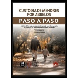 CUSTODIA DE MENORES POR ABUELOS PASO A PASO 2025