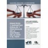 Principios y garantías penales y procesales en la doctrina de la CIDH y el TEDH