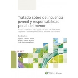 Tratado sobre delincuencia juvenil y responsabilidad penal del menor 'A los 20 años de la Ley...