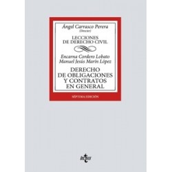DERECHO DE OBLIGACIONES Y CONTRATOS EN GENERAL 'Lecciones de Derecho Civil 2025'