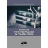Derechos fundamentales en el proceso penal