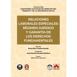 Relaciones laborales especiales: régimen jurídico y garantía de los derechos fundamentales