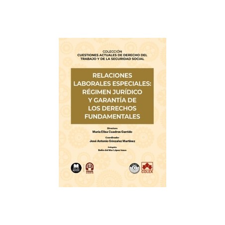 Relaciones laborales especiales: régimen jurídico y garantía de los derechos fundamentales