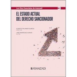 El estado actual del derecho sancionador (Papel + Ebook)