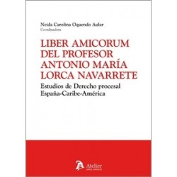 Liber Amicorum del profesor Antonio María Lorca Navarrete 'Estudios de derecho procesal...