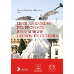 Liber Amicorum del Profesor Juan Burgos Ladrón de Guevara