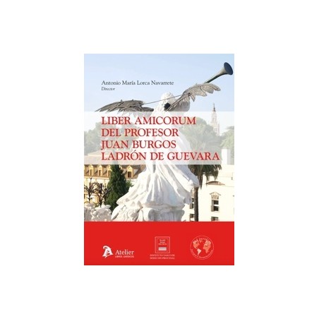 Liber Amicorum del Profesor Juan Burgos Ladrón de Guevara