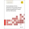 Formularios de la Práctica Procesal Penal: Responsabilidad Penal de los Menores 'Papel + Digital'