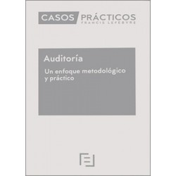 Casos Prácticos. Auditoría. Un Enfoque Metodológico y Práctico