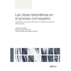 Las vistas telemáticas en el proceso civil español 'regulación, cuestiones prácticas y...