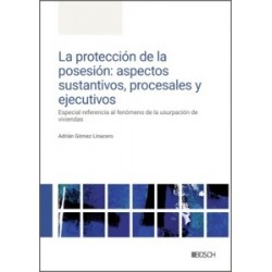 La Protección de la Posesión: Aspectos Sustantivos, Procesales y Ejecutivos