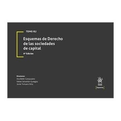 Esquemas de Derecho de las Sociedades de Capital