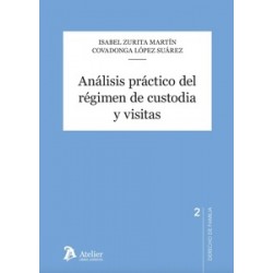 Análisis práctico del régimen de custodia y visitas