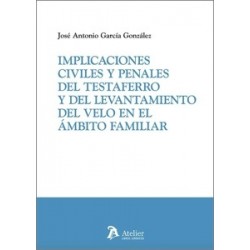 Implicaciones civiles y penales del testaferro y del levantamiento del velo en el ámbito familiar