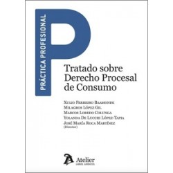Tratado sobre derecho procesal de consumo