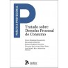 Tratado sobre derecho procesal de consumo