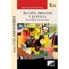 Acción, proceso y justicia 'Estudios escogidos'