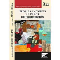 Teorias en torno al error de prohibicion