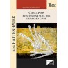 Conceptos fundamentales del Derecho Civil