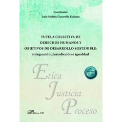 Tutela colectiva de derechos humanos y objetivos de desarrollo sostenible: integración,...