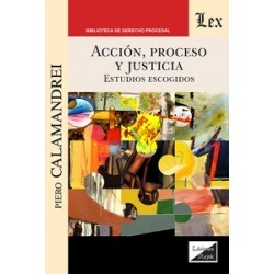 Acción, proceso y justicia 'Estudios escogidos'