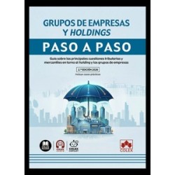 Grupos de empresas y holdings. Paso a paso 'Guía sobre las principales cuestiones tributarias y...
