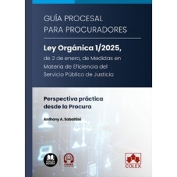 Guía procesal para procuradores. Ley Orgánica 1/2025, de 2 de enero, de Medidas en Materia de...