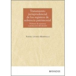 Tratamiento jurisprudencial de los registros de solvencia patrimonial