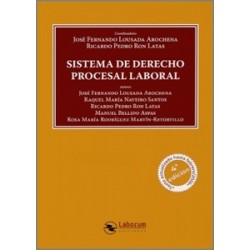 Sistema de derecho procesal laboral
