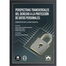 Perspectivas Transversales del Derecho a la Protección de Datos Personales: Desafíos en la Era...