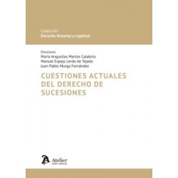 Cuestiones Actuales del Derecho de Sucesiones