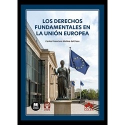 Los Derechos Fundamentales en la Unión Europea
