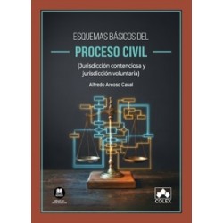 Esquemas básicos del proceso civil (jurisdicción contenciosa y jurisdicción voluntaria)