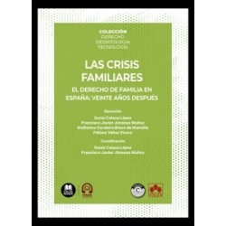 Las crisis familiares 'El Derecho de Familia en España: Veinte Años Después'