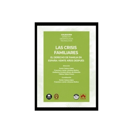 Las crisis familiares 'El Derecho de Familia en España: Veinte Años Después'