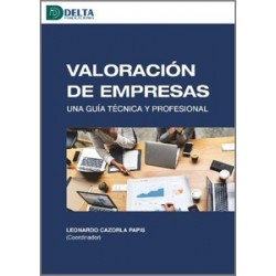 VALORACIÓN DE EMPRESAS 'Una guía técnica y profesional'