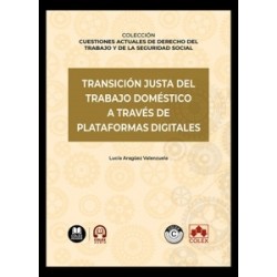 Transición justa del trabajo doméstico a través de plataformas digitales