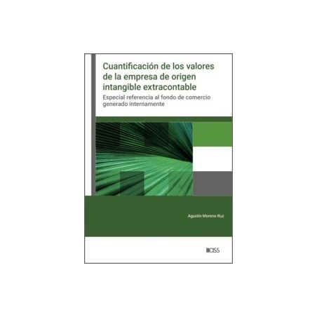 Cuantificación de los valores de la empresa de origen intangible extracontable