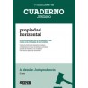 El Voto 'La Irretroactividad en el Incremento de las Cuotas a las Viviendas de Uso Turístico'