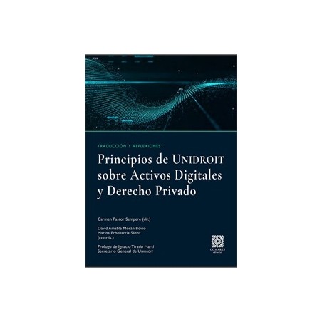 PRINCIPIOS DE UNIDROIT SOBRE LOS ACTIVOS DIGITALES Y DERECHO PRIVADO