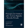 PRINCIPIOS DE UNIDROIT SOBRE LOS ACTIVOS DIGITALES Y DERECHO PRIVADO