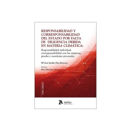 RESPONSABILIDAD Y CORRESPONSABILIDAD DEL ESTADO POR FALTA DE DILIGENCIA DEBIDA EN MATERIA CLIMÁTICA