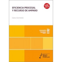 EFICIENCIA PROCESAL Y RECURSO DE AMPARO