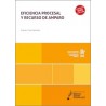 EFICIENCIA PROCESAL Y RECURSO DE AMPARO