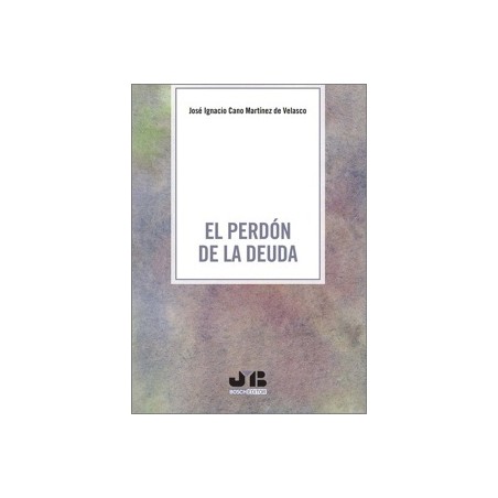 EL PERDÓN DE LA DEUDA