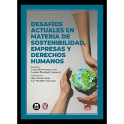 Desafíos Actuales en Materia de Sostenibilidad, Empresas y Derechos Humanos
