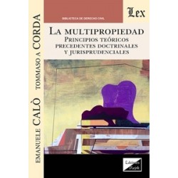 La Multipropiedad 'Principios Teoricos Precedentes Doctrinales y Jurisprudenciales'