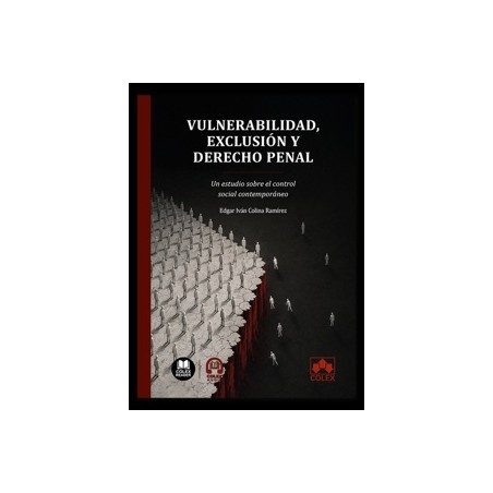 Vulnerabilidad, exclusión y derecho penal